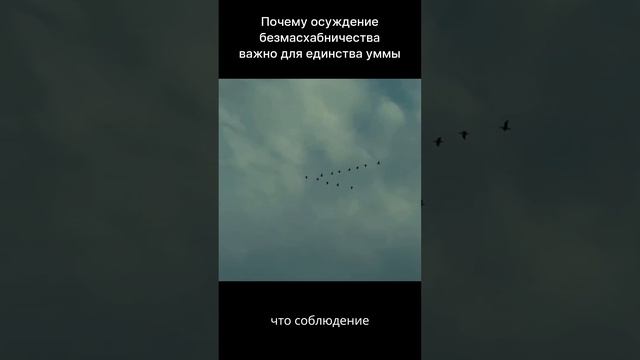 Масхабы