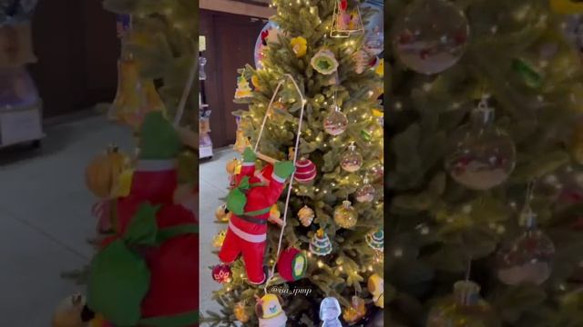 Вот такая красотень стоит в кафе папы Чимина 🥹☺️