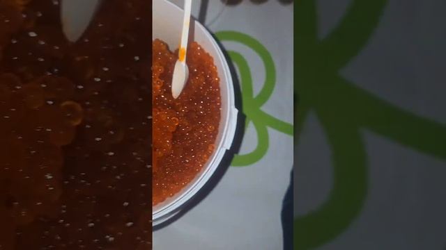 VID_20241226_132933_191.mp4