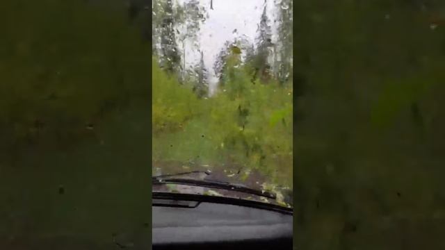 Катнули по лесу в неизвестном направлении)))