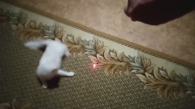Головокружительный трюк!