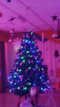 новый год в красной шапочке