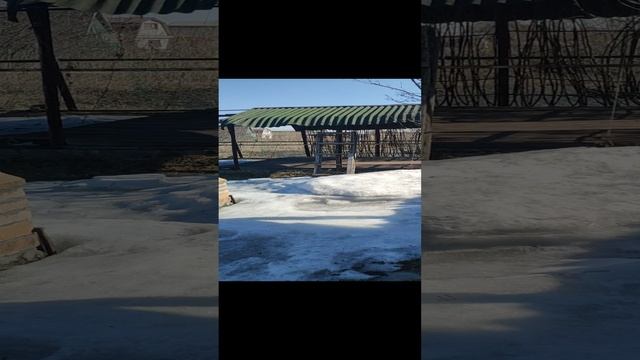 2023 год, великий потоп