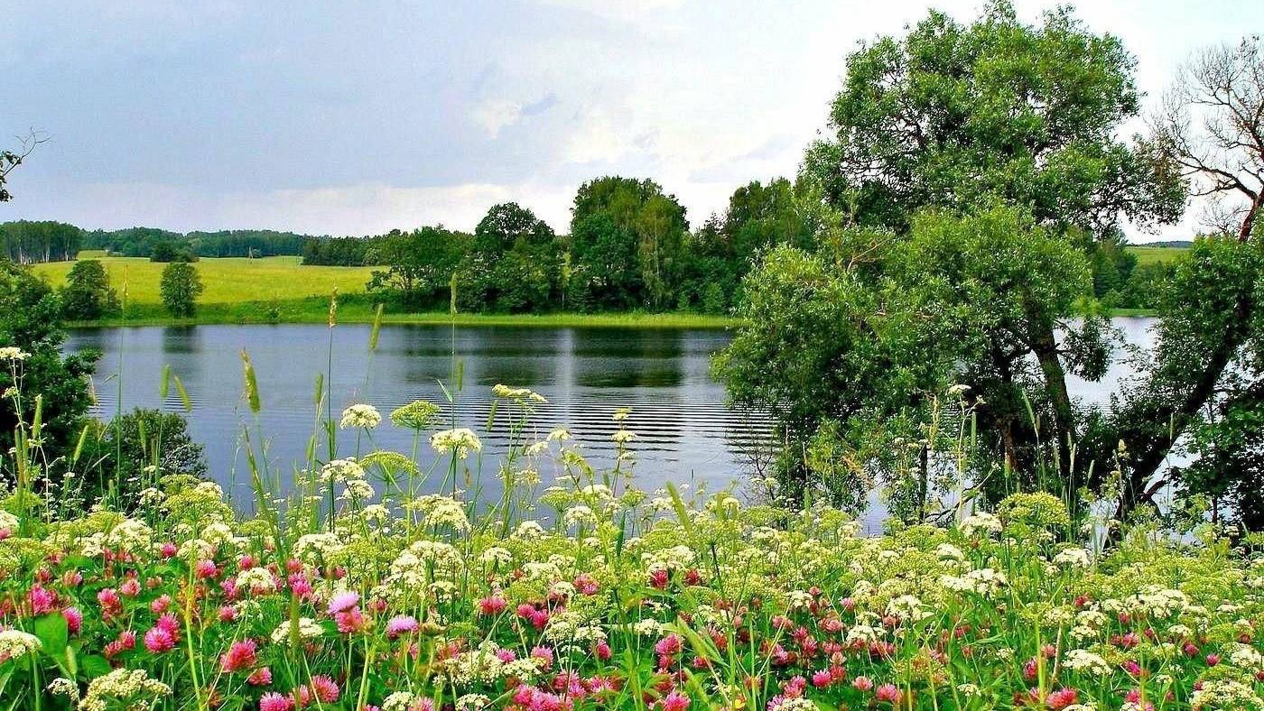 На берегах, где брызгами ковыль (о Родине)