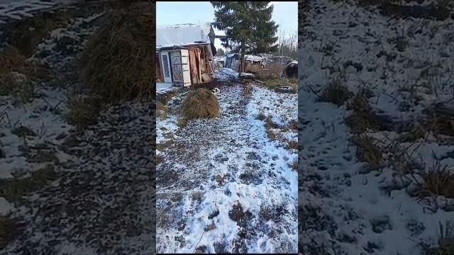 Помощники!