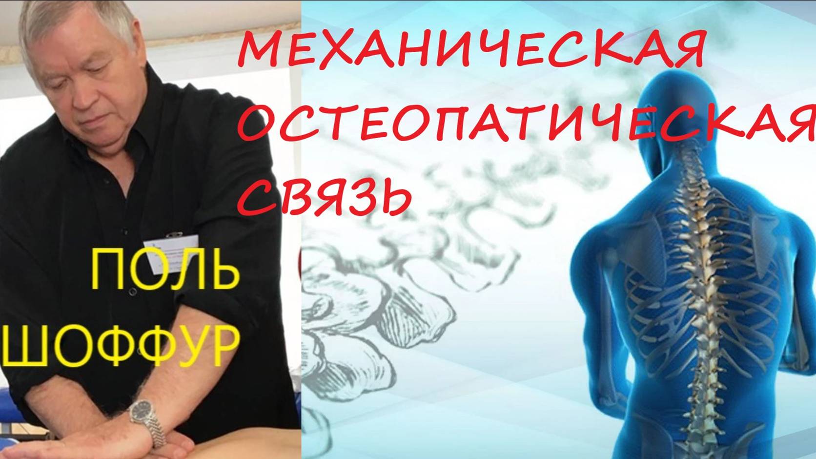 Механическая остеопатическая связь. Лечение любой проблемы в теле одной техникой - рекойл.
