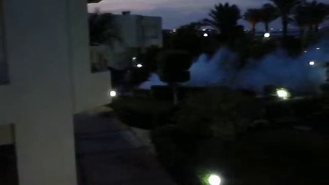 Обработка от комаров (Hilton Long Beach Resort.)