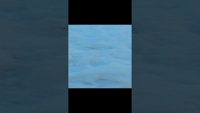 ПИПИНДУРЫ 4 серия (1 часть)
ЛЕС