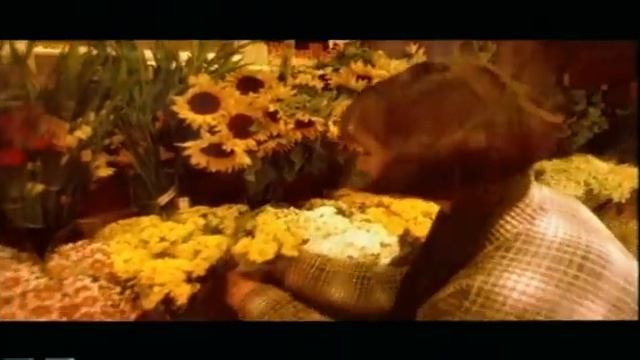 DJ BoBo - LOVE IS ALL AROUND