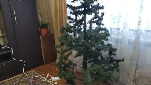 Уборка снега и волшебство елки