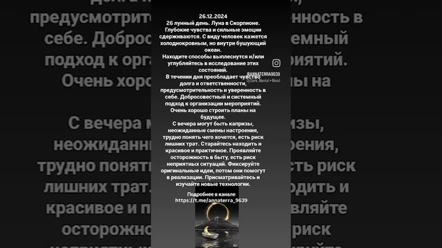 26.12.2024.mp4