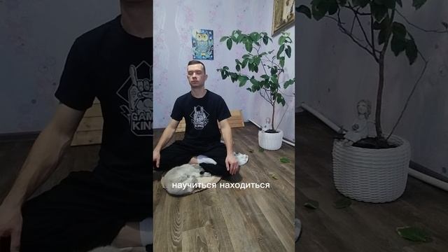 медитация =здесь и сейчас