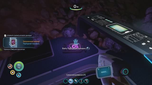 subnatics for beginners