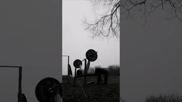 1734791693998.mp4