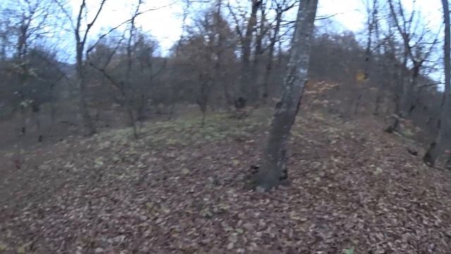Охота. Засидки дали результат.