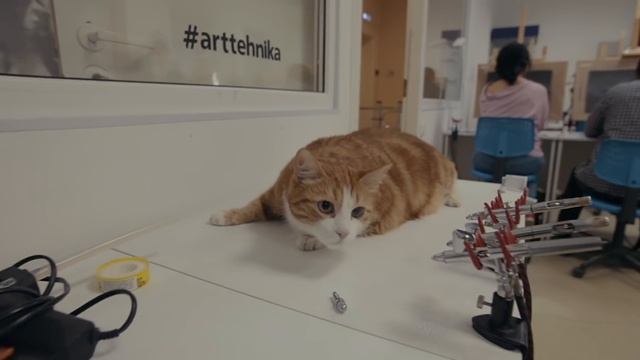 Один день из жизни школы аэрографии 'Арт-Техника'