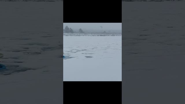 26-12-2024