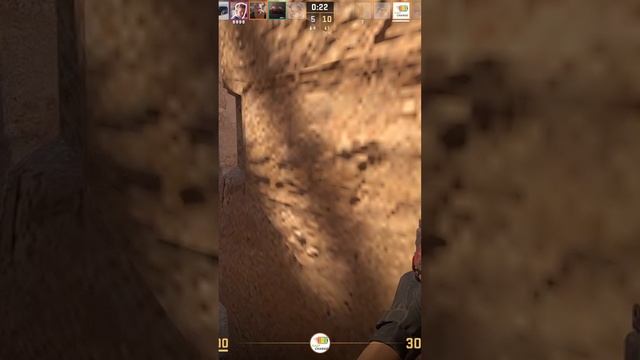 Zeus24122603