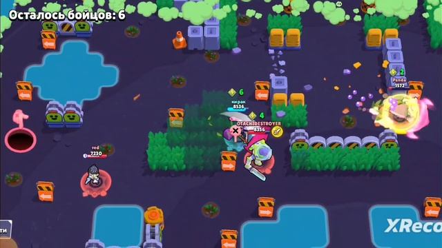 Подарки в brawl Stars