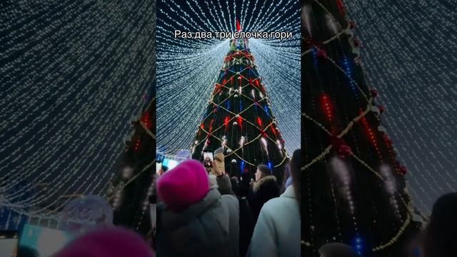 pustovalova33_2024-12-25-12-17-44_1735118264505.mp4