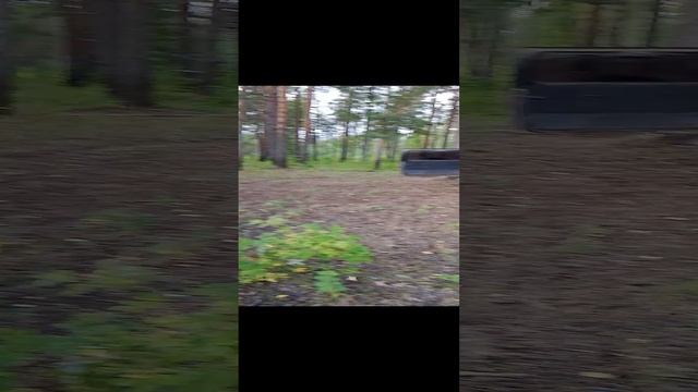 И рыбка и лисички!
