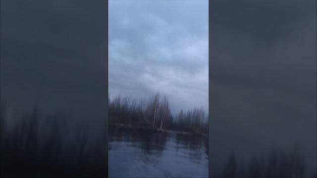 15 мая 2024 Рыбалка Первый лещ Вуокса