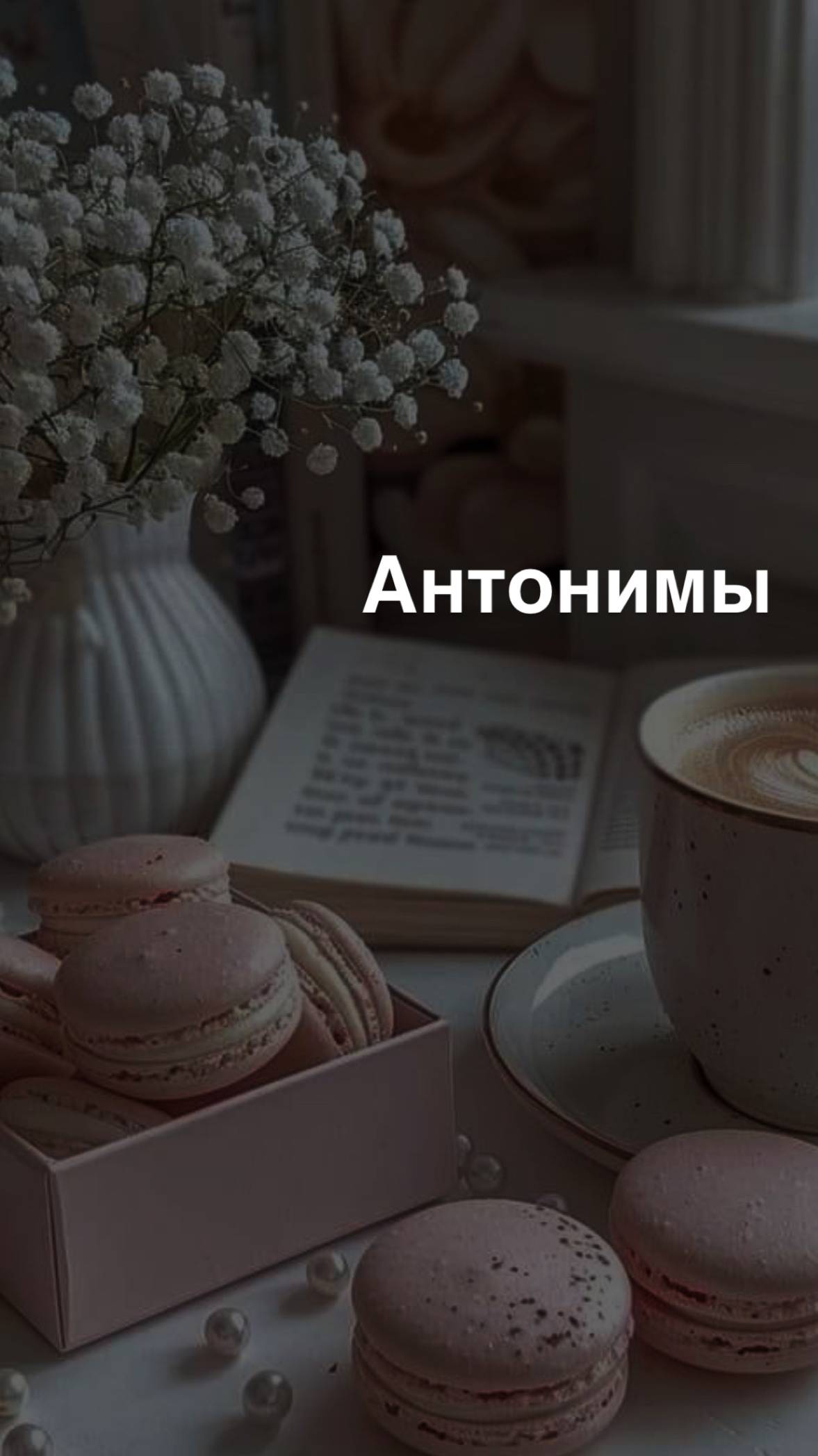 Антонимы в английском языке
