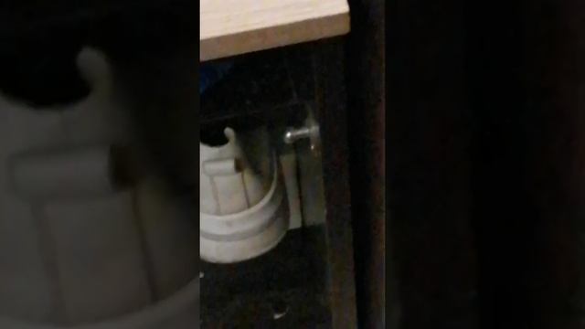 у меня в доме кто то завёлся помогите