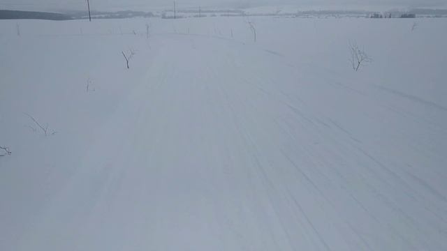 Осваиваем одновременный одношажный коньковый ход с Аней.