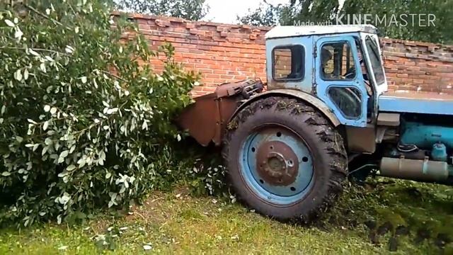 Борьба с сорняками