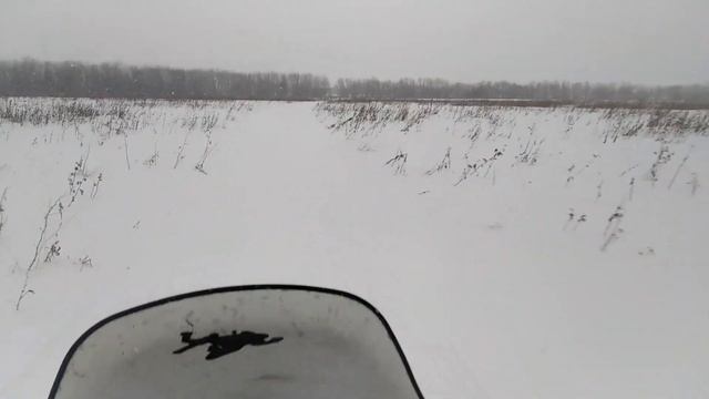 Мотобуксировщик, покатушки и яйцо снегозавра