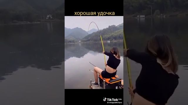 🐟🐬🦈😀😅👍
