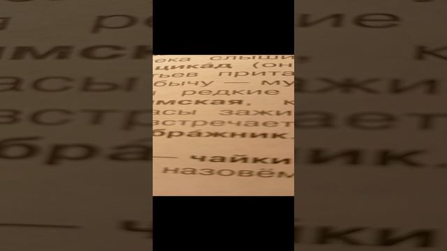 лети мой маленький акума