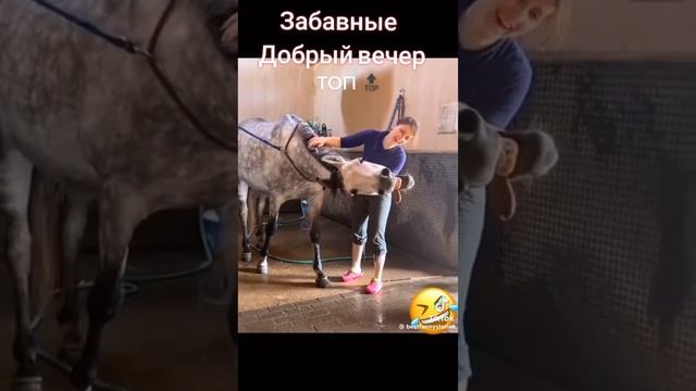 Добрый вечер