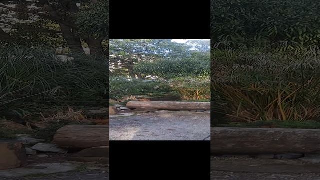 Сочи. Парк около Зимнего театра.
Райский уголок.