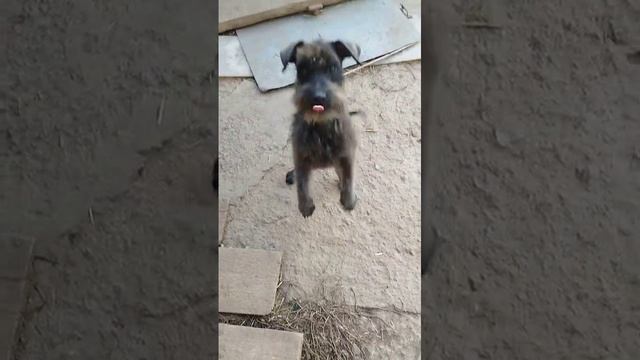 1000051266.mp4
