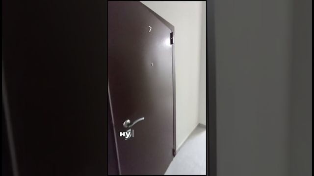 Студия в рассрочку за 3600, сначала вносите 800, кому интересно, пишите коммент студия