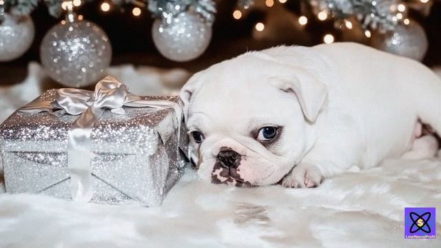 Подарок от OpenAI! Безлимитная Sora - мой опыт и рекомендации