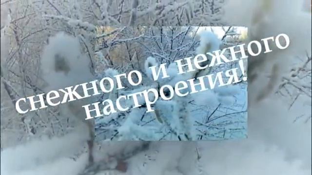 Поздравление с наступающим годом Быка! 2021 год--- год белого, цинкового быка! (1)