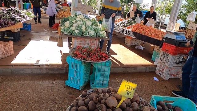 Kıbrıs'ta güncel meyve-sebze ve giysi pazar fiyatları - Lefke Güzelyurt pazarı
