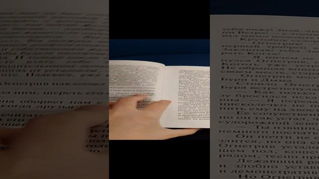 Обзор книги Коты Воители:Лес Секретов