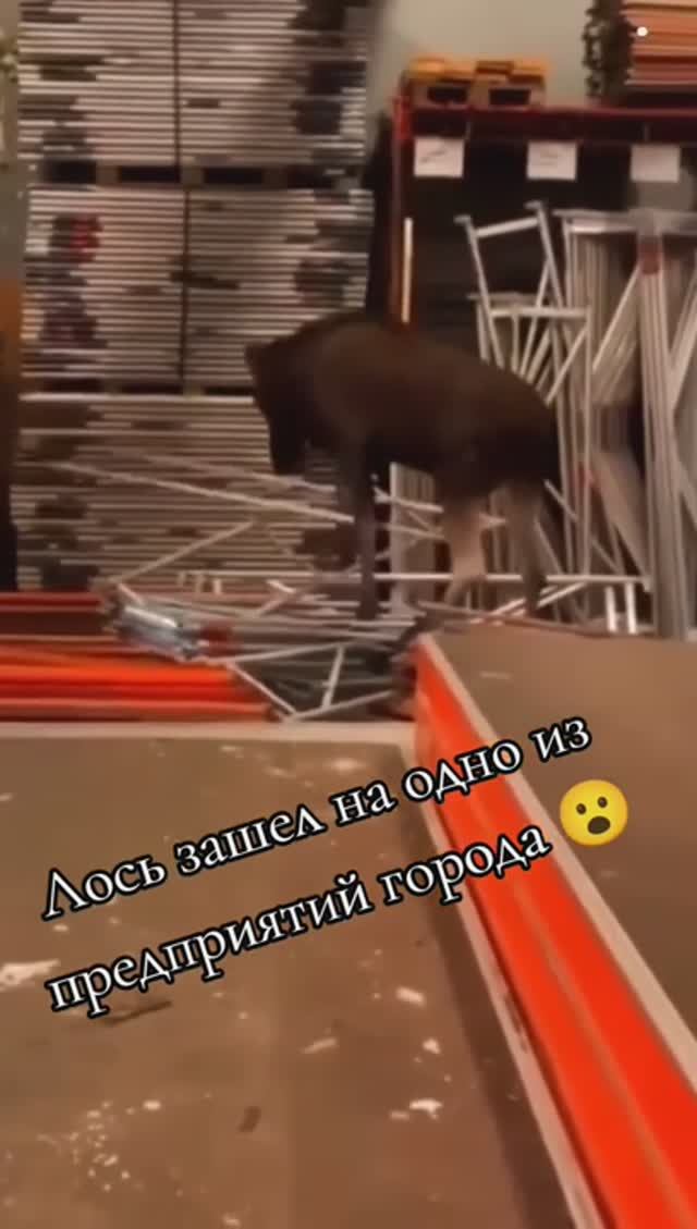 Первый рабочий день после Нового Года !