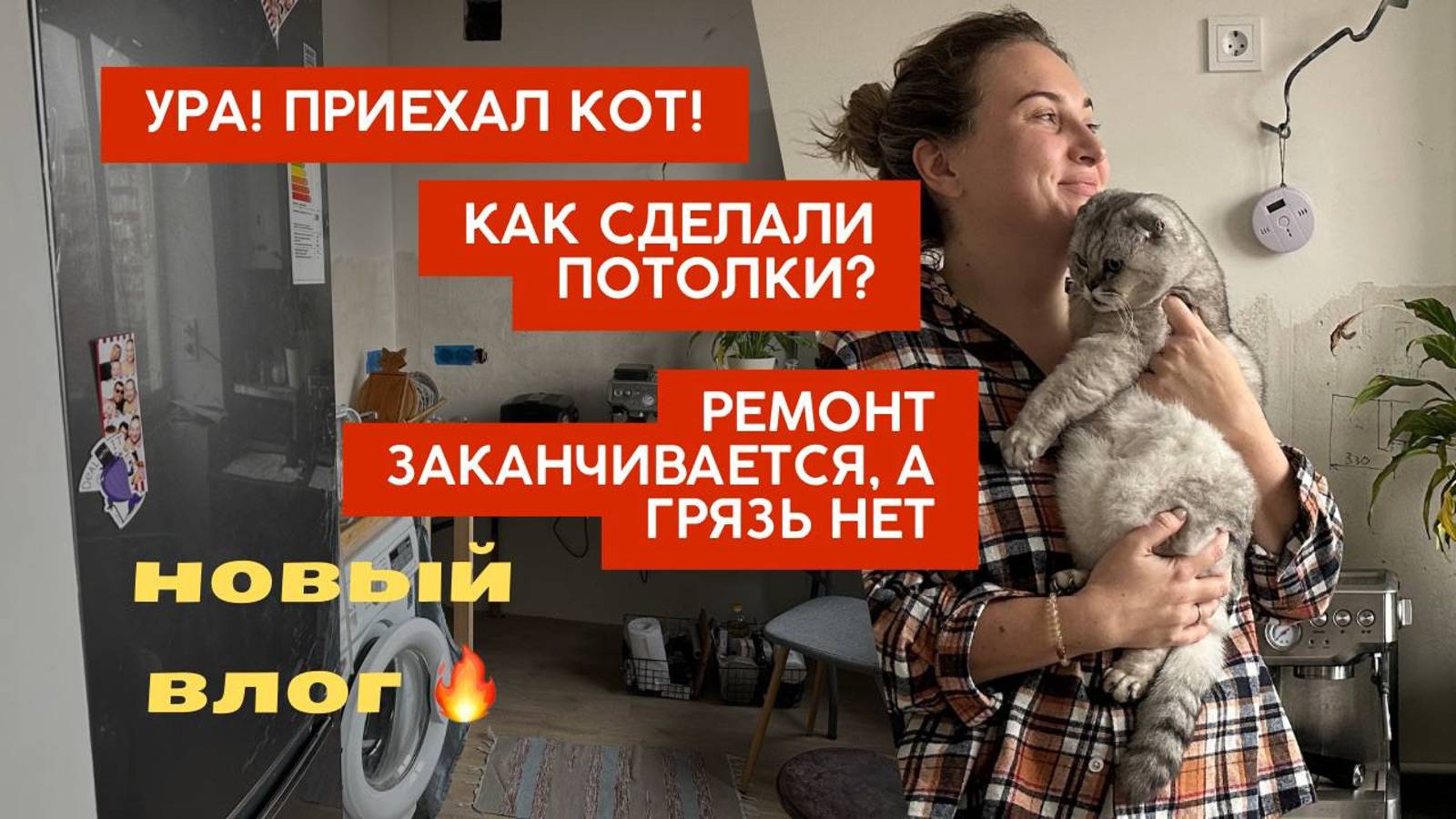 Вот теперь точно ПЕРЕЕХАЛИ! Привезли кота. Показываю, как сделали потолки и как напортачил электрик