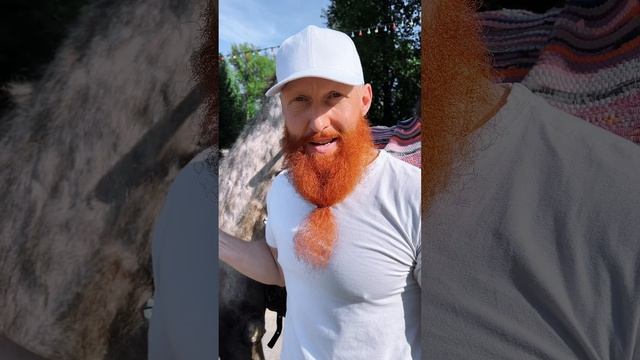 Анекдот про отдалённую гибридизацию