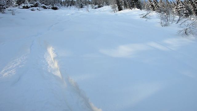 Казыр