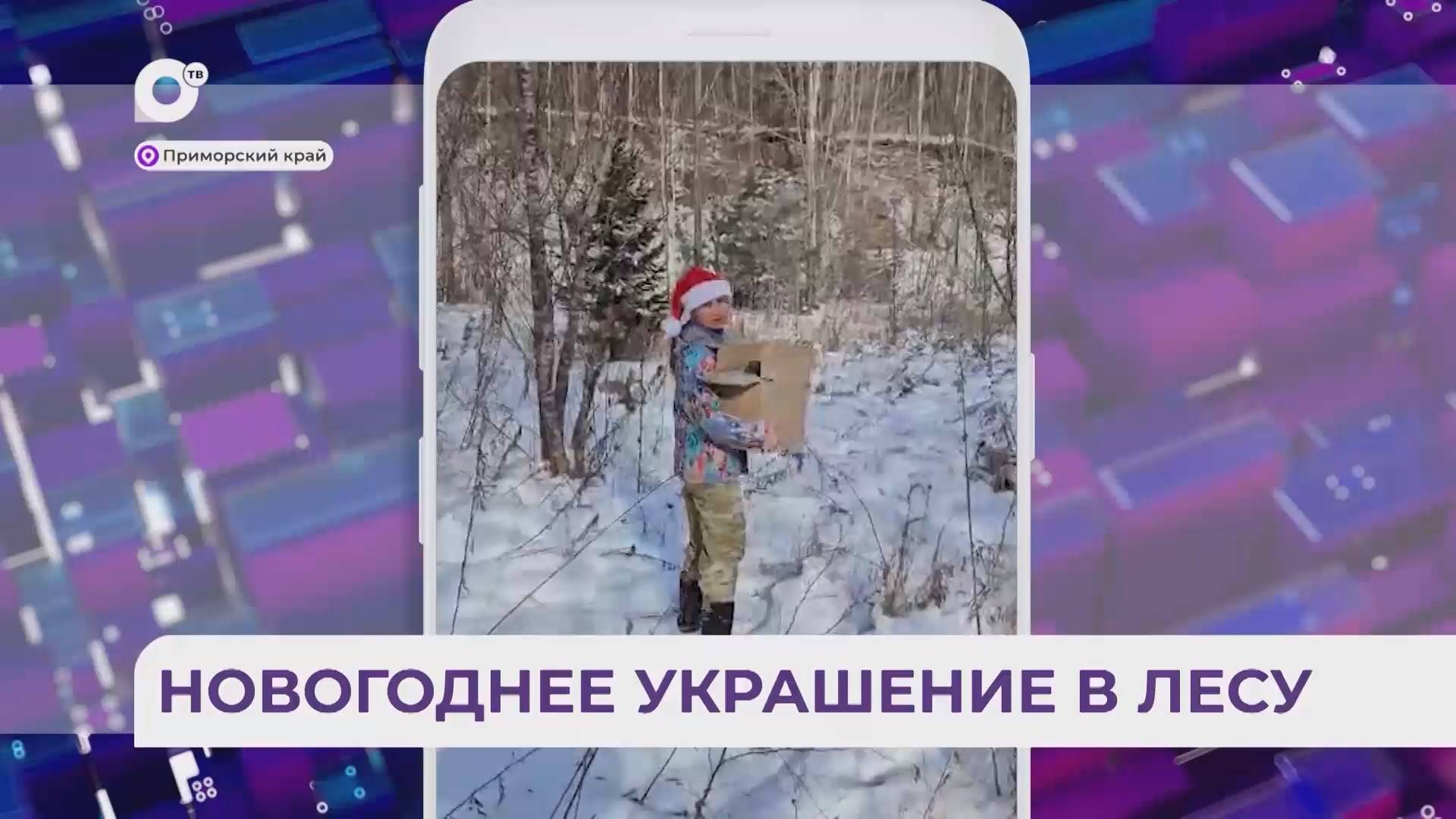 Без комментариев / Елка в лесу / 26.12.24