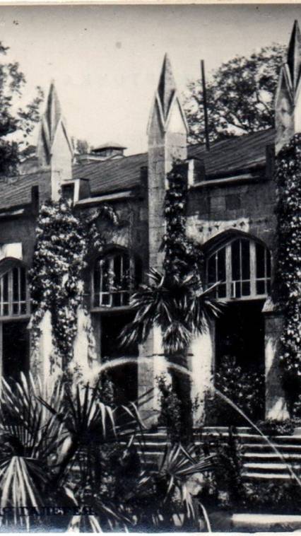 Пальма в Кисловодске