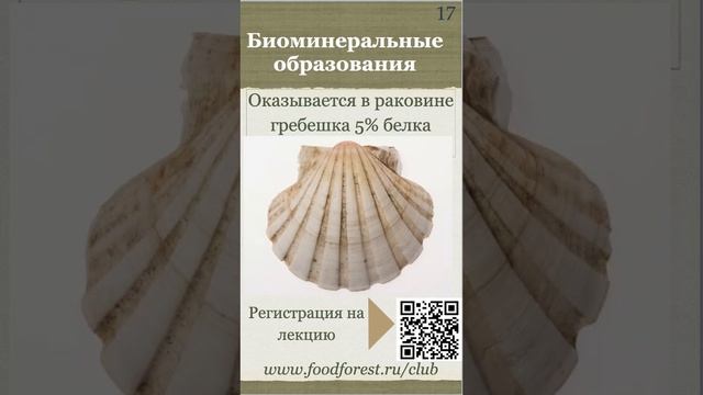 Афанасьев_Биоценоз богатый белком_16