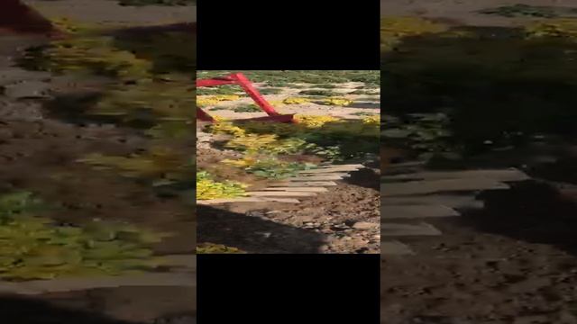 Подкапыватель саженцев, кустарников в питомнике