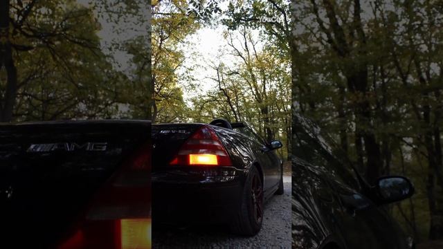 slk r 170 230
